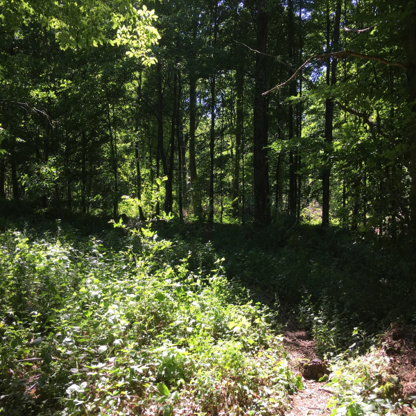 Offres de vente Terrain Cernay-la-Ville 78720